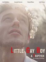 Pôster de Little Gay Boy