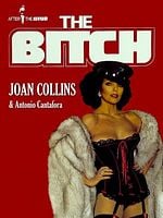 Pôster de The Bitch