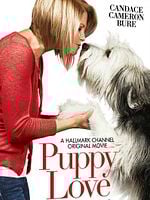 Pôster de Família Por Acaso