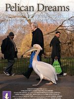 Pôster de Pelican Dreams