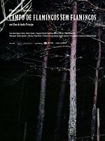 Pôster de Campo de Flamingos Sem Flamingos