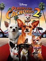 Pôster de Perdido Pra Cachorro 2