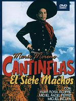 Pôster de O Mata Sete