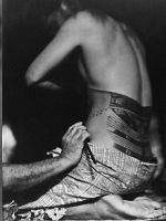 Pôster de Moana Sonoro