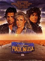 Pôster de Viajantes Sem Rumo