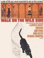 Pôster de Pelos Bairros do Vício