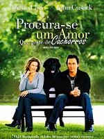 Pôster de Procura-se um Amor que Goste de Cachorros