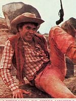 Pôster de A Vingança de Chico Mineiro