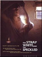 Pôster de A Pomba Branca