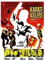 Pôster de A Quadrilha do Karatê