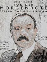 Pôster de Vor der Morgenröte