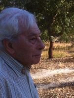 Pôster de A Vossa Terra