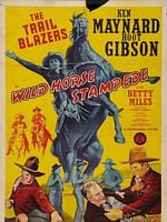 Pôster de O Mistério do Desfiladeiro