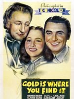 Pôster de Onde o Ouro Se Esconde