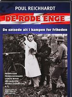 Pôster de A Terra Ficou Em Chamas