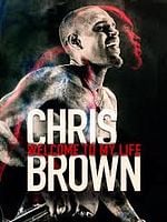 Pôster de Chris Brown: Welcome To My Life