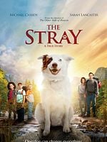 Pôster de Uma Aventura e Tanto