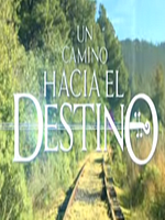 Pôster de Um Caminho para o Destino
