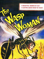 Pôster de A Mulher Vespa