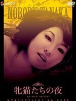 Pôster de Noite das Felinas