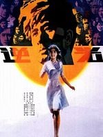 Pôster de A Luz Que Contraria