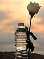 Pôster de Little Gandhi