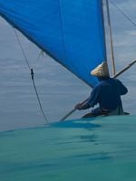 Pôster de Anote's Ark