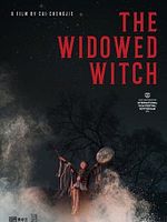 Pôster de A Feiticeira Viúva