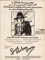 Pôster de Shoot the Sun Down