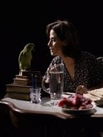 Pôster de Sedução da Carne