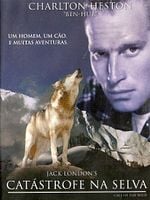 Pôster de Call of the Wild