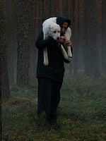 Pôster de Serdtse Mira