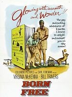 Pôster de A História De Elsa