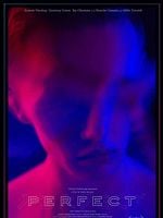 Pôster de Perfect
