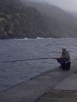 Pôster de Memória e Dicionário