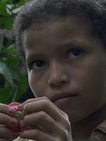 Pôster de Understory