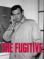 imagem de The Fugitive