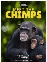 imagem de A Vida Secreta dos Chimpanzés