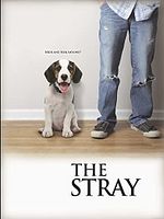 Pôster de Procura-se um Dono