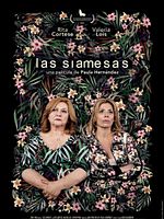 Pôster de As Siamesas