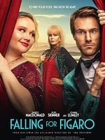 Pôster de Falling For Figaro