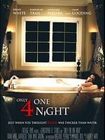 Pôster de Apenas Por Uma Noite