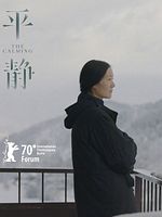 Pôster de The Calming