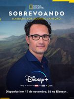 Pôster de Sobrevoando