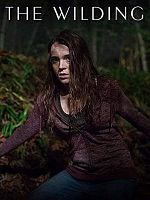 Pôster de Chamados do Além