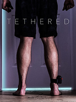 Pôster de Prisão Domiciliar