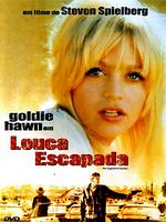 Pôster de Louca Escapada