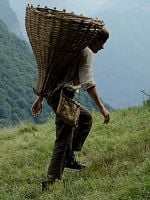 Pôster de A Fraternidade Negra