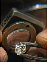 Pôster de Nothing Lasts Forever