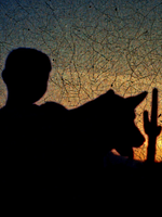 Pôster de American Journal